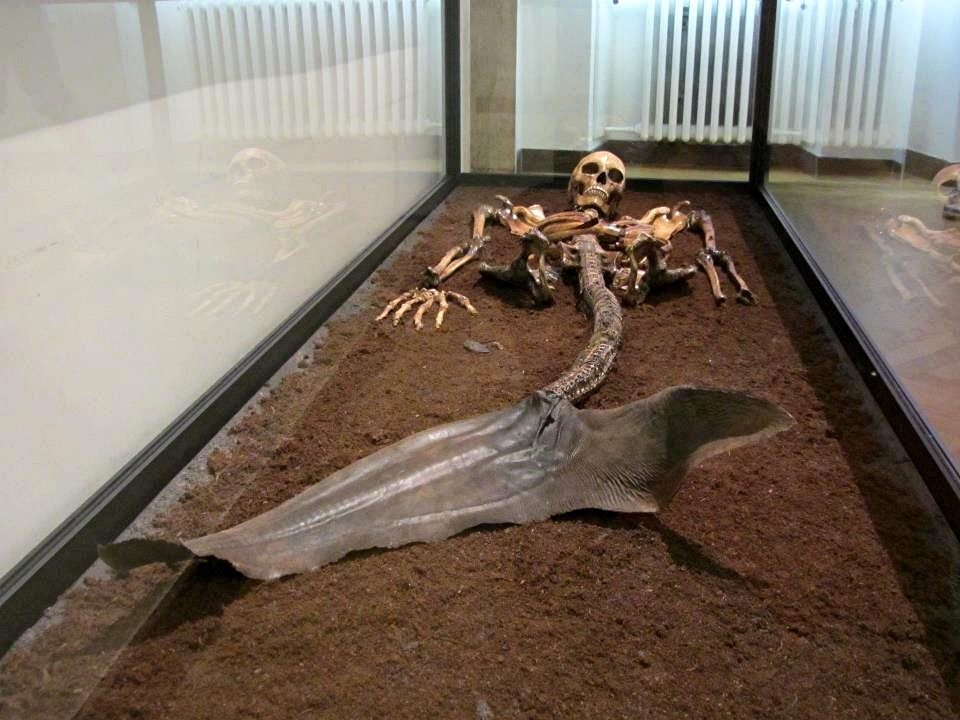 “Archaeologists Unearth Mermaid Remains in Iceland, Unraveling Millennia-Old Enigma” – Hot News Daily