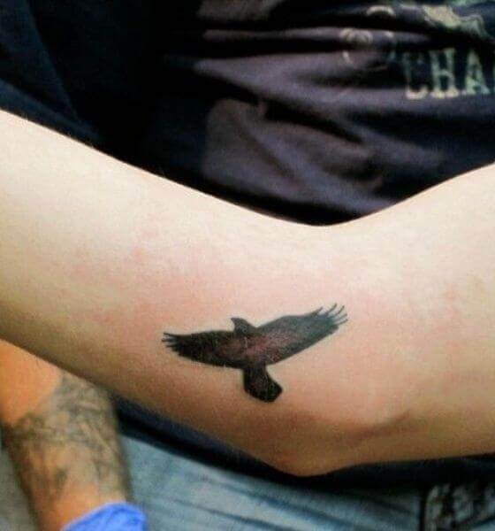 Eagle Tattoo Designs tattoo on the elbow